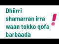 Dhiirri Shamarran Irraa Waan Tokko Qofa Barbaada