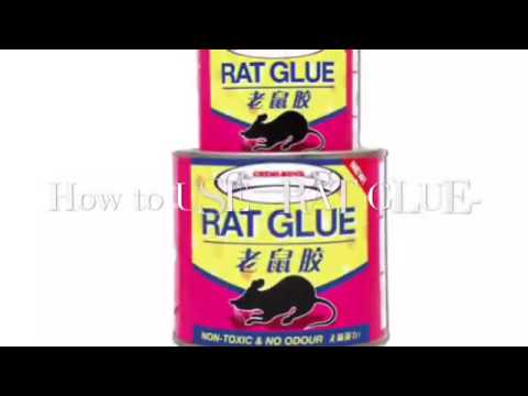 Carlendan Mice Killer Traps Board Mouse Glue Max Strong Sticky Mouse Rat  Glue Snare Rodent Trap catch Mouse DIY