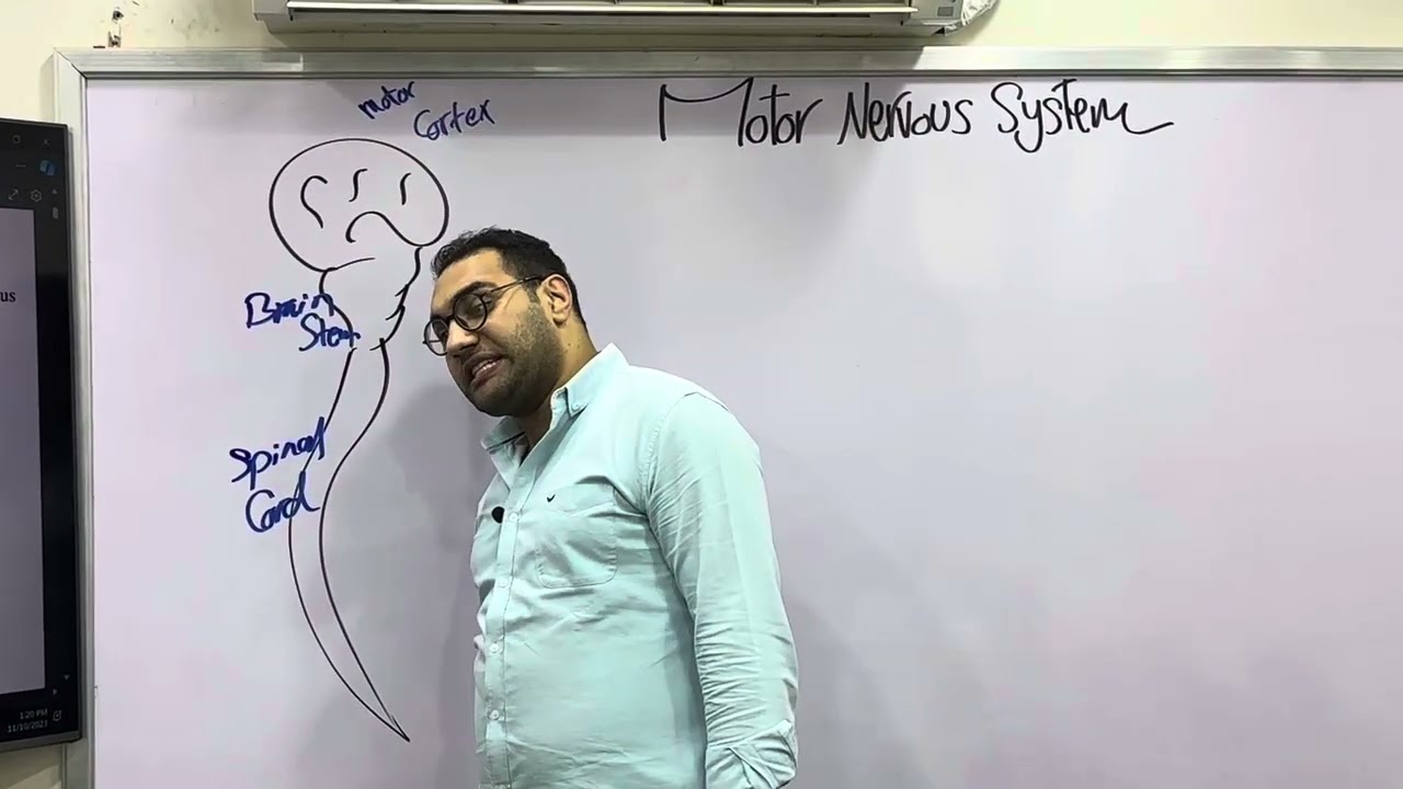 Motor Nervous System Revision part-1 القصر العيني