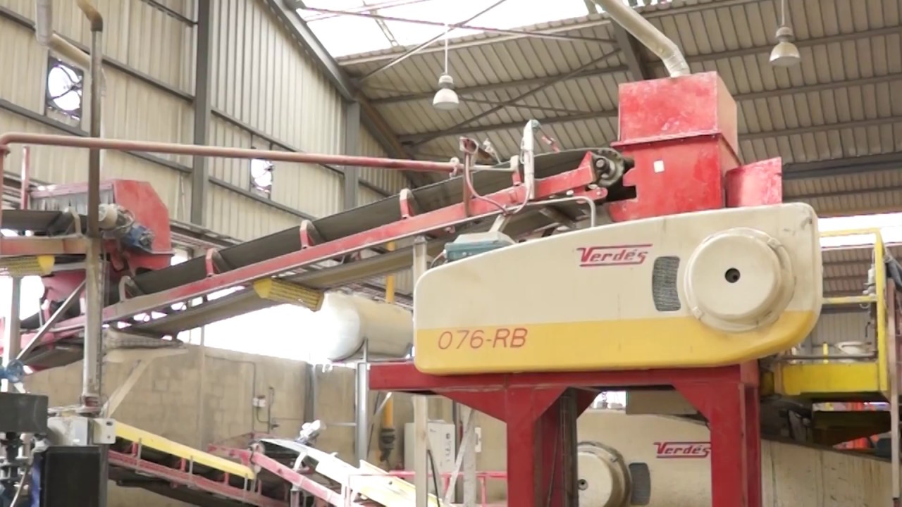 Verdés - Brick plant BRIQUETERIE AMRAOUA