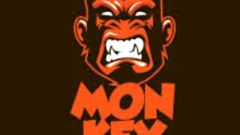 Intro the team  official monkey