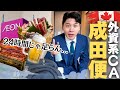 【密着】人気の日本ステイは本当に時間が足りなさ過ぎるのよ...。