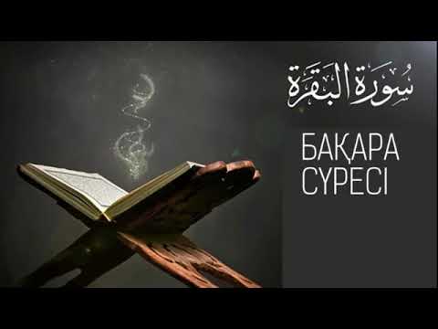 Бейне: Араларға арналған тұзақ. Жаңадан бастаған омарташыларға арналған ақпарат