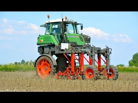 Special FENDT 310 Vario High Clearance - Hoeing apple trees