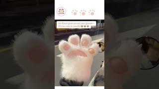 My friend gave me cat paw gloves… now my mom calls me “Miss Meow.”#pawglove #pawlove #cute #gift