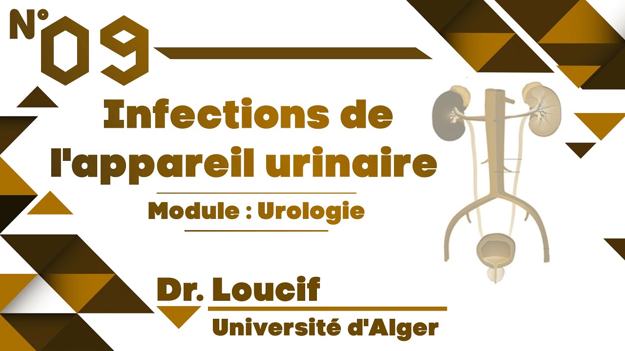 #Uro | 09. Infections de l'appareil urinaire (Dr. Loucif)