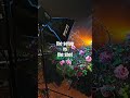Building depth into this floral composition! #amaran #amaranRay #amaranRay360c #amaran660c #lighting