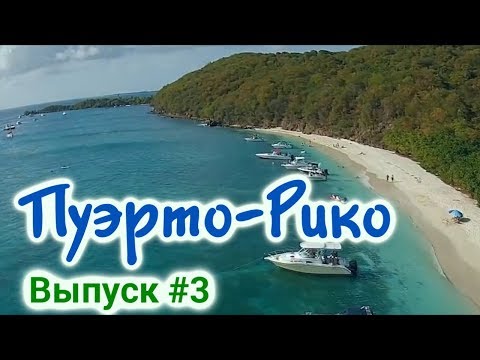 Video: Mamos Ir Vaikų Gelbėjimas Puerto Rikas