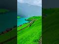 Switzerland🇨🇭🌿#shorts#youtubeshorts#youtube#viral#explore#nature