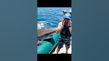🦈Three Men Barely Escaped Death from This Shark’s Attack! #shark #pov #scary #attack #AI