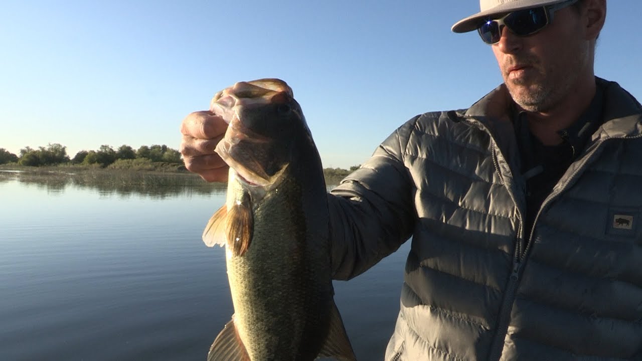 Potholes Reservoir Bass Fishing YouTube