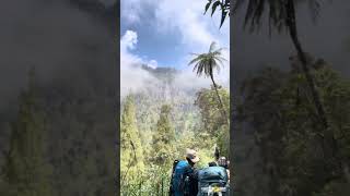 Like an avatar scene #reels #hiking #semeru #nature #bromo #travel #memes #adventure