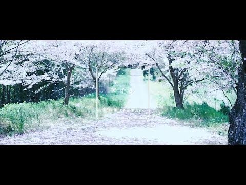 アイル」haruka nakamura × 岩倉しおり MV - YouTube