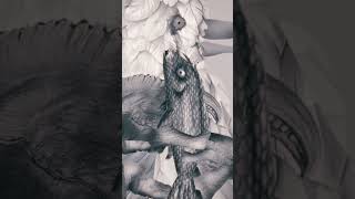 Moonrisers - Muddy Shores #shorts