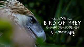 Bird of Prey Movie: Trailer 2