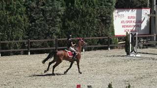 Ela Jansel Genel - Gorsınaa - 16.08.2020 115 cm Teşvik İkincisi