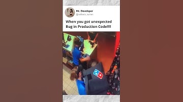 Unexpected Bug and Developer!!!!  #funny #coding