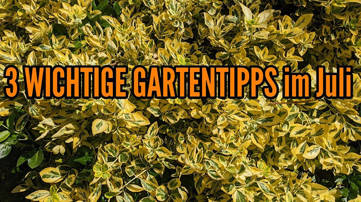 3 WICHTIGE Gartentipps im Juli Tipps für die Gartenarbeiten im Juli im Garten