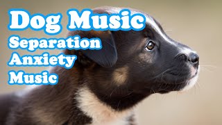 Music for Dogs Who are Alone: Cure Separation Anxiety & Relaxing Dog Music