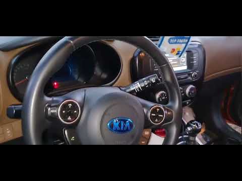 بربرة عسولة سول مواليد 2018 عقد مسجل وارد الخليج بتمسى على المتابعين أجمعين