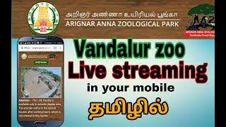 Vandalur zoo ||live streaming|| in your mobile screenshot 4