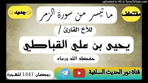 ماتيسر من سورة الزمر للقارئ يحيى القباطي مسجد معاذ صنعاء