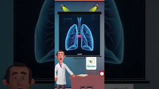 Hantavirus is a disease transmitted by rats and other rodents.
