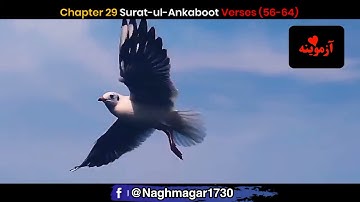 قرآن کریم پښتو ترجمه سورة العنکبوت آیات 56-64