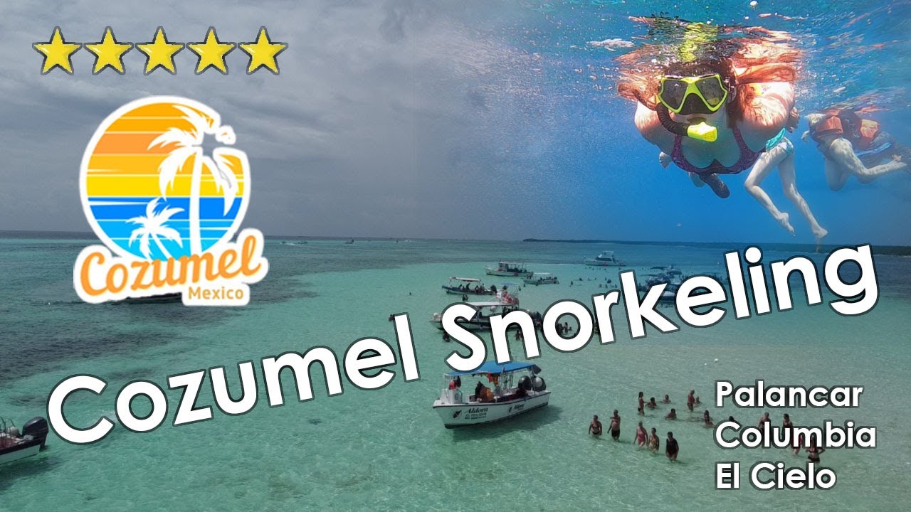 Cozumel Snorkeling Tour (Palancar, Columbia & El Cielo) - August 2022