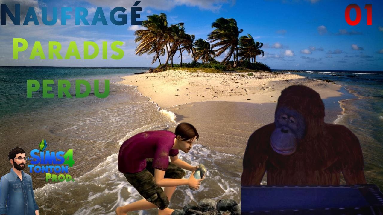 Les Sims Histoires De Naufragés Sur PC – Version Française Avec Notice, Bon état