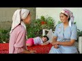 Counseling Caregivers at a Home Visit: 5-Step Approach - Kyrgyz Republic (Spanish) – Responsive Care
