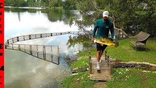 BUILDING Pet FISH WALL in LAKE! by ZAK CATCH Em' 39,361 views 1 month ago 22 minutes