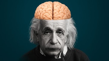 Why Was Einstein So Smart?.
