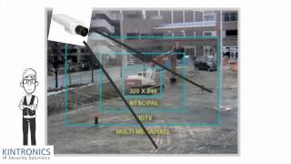 IP Cameras