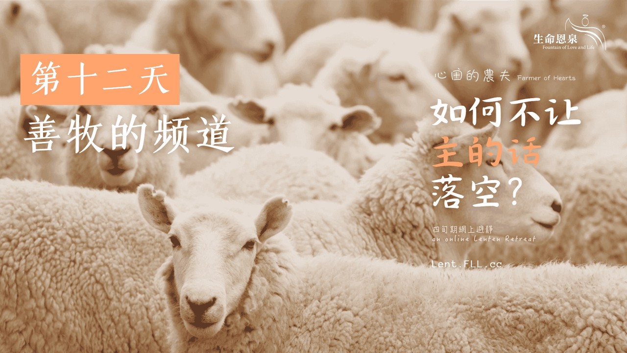 #如何不让主的话落空？ | 第十二日 | 善牧的频道 (普通话) #心田的农夫