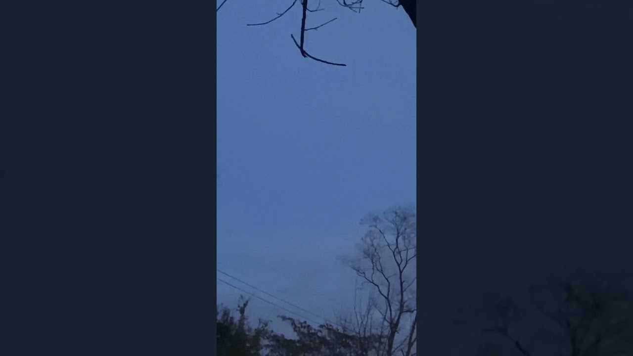 Delta Airlines {Michigan Wolverines Football Team Charter Plane} DAL8907 Pt: 1 on 11/17/23