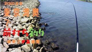 チヌ 東京湾奥で前打ち釣り21年6月9日 磯竿 Youtube