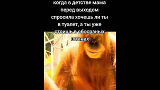 Хочешь Ли Ты В Туалет? #Мем #Tiktok #Memes