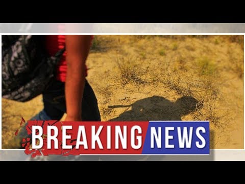 Unaccompanied 8-Year-Old Boy Rescued by Border Patrol Near Rio Grande ...