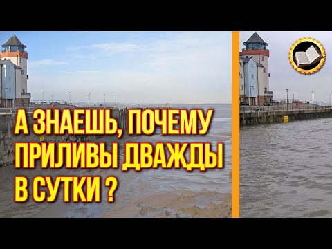 Почему приливы и отливы случаются дважды в сутки?