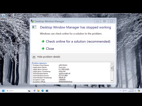 Desktop Window Manager Stopped Working and Was Closed in Windows 1110 [FIXED]