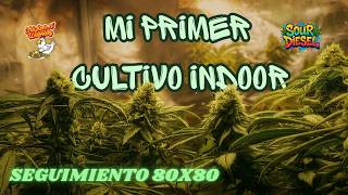 CULTIVO INDOOR #1: Casi PIERDO toda mi cosecha por este error!!!
