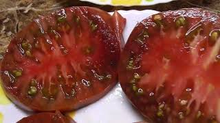 Черноплодные томаты. Томат Гигант Кубы - крупный, вкусный, с шоколадной мякотью. Дегустация.