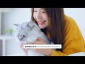 Litter Robot — Automating Litter Box Maintenance Through Engineered Systems