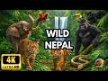 NEPAL: Kingdom of the Clouds | The Hidden Wild of the Himalayas [Full Documentary]