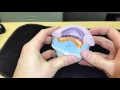 Derek Gatta "Articulating max/man hybrid cases" Dentistry