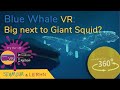 Is a Blue Whale Giant next to a Giant Squid? | Education in 360 VR!!!