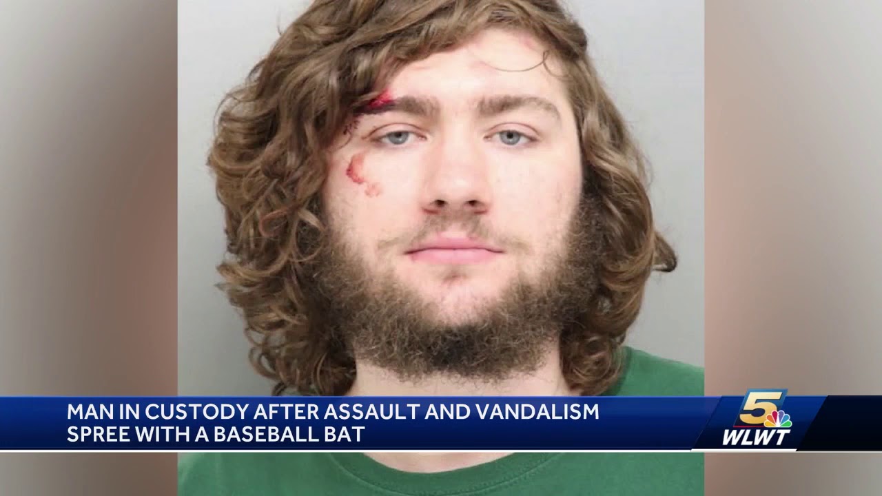 Man in custody after assault and vandalism spree with baseball bat ...