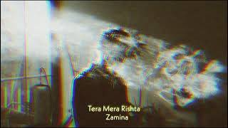 Tera Mera Rishta (slowed+reverb) | Mustafa Zahid| Zamina