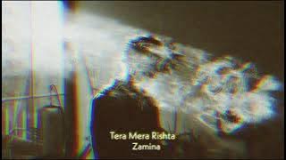 Tera Mera Rishta (slowed reverb) | Mustafa Zahid| Zamina